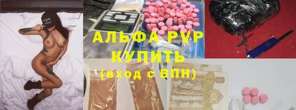 СК Аркадак