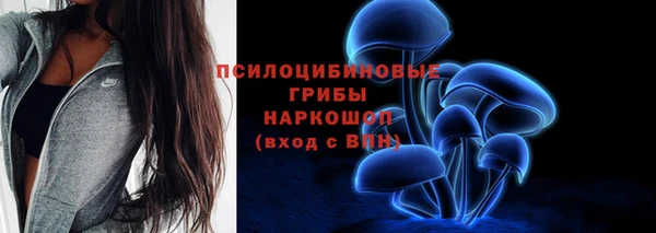 СК Аркадак