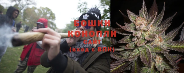 прущая мука Арсеньев